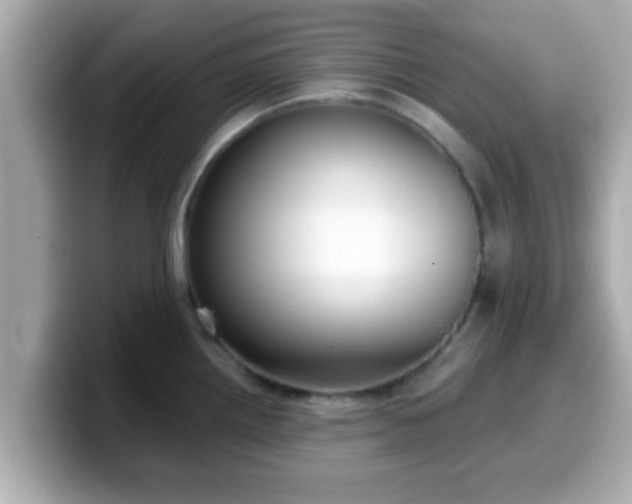 X0000099561242200805231506