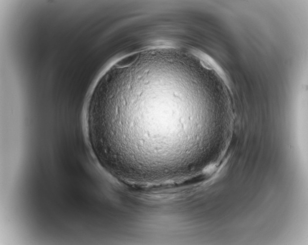 X0000099561243200805231506