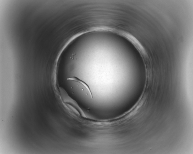 X0000099561244200805231506