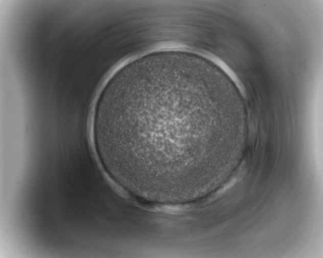 X0000099561245200805231506