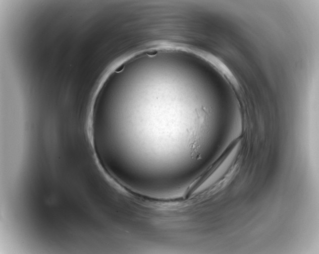 X0000099561247200805231506