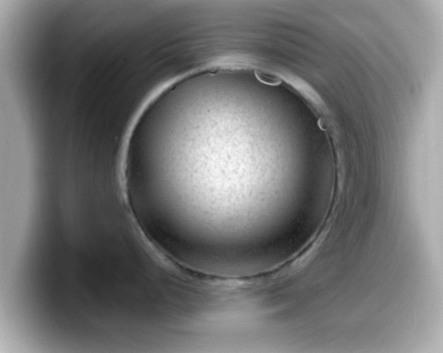 X0000099561248200805231506