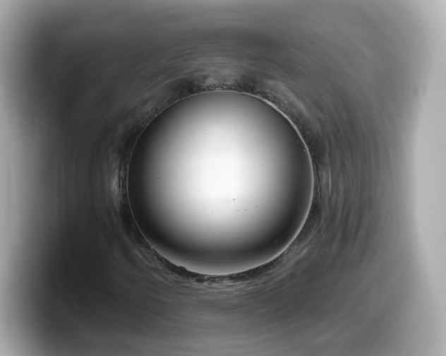 X0000099561250200805231505