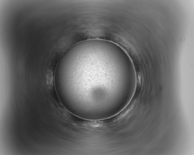 X0000099561251200805231505