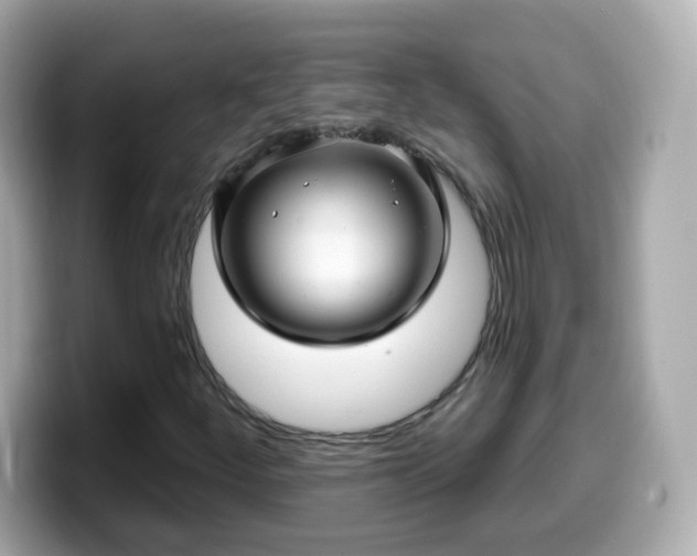 X0000099561252200805231505