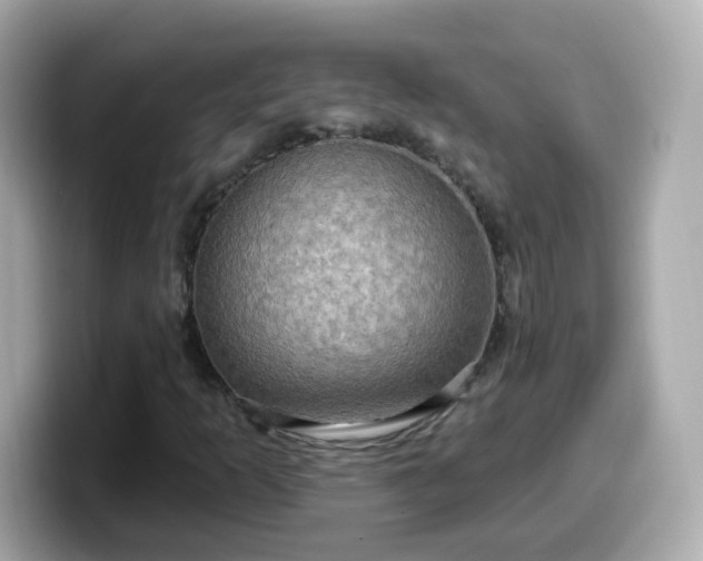 X0000099561253200805231505