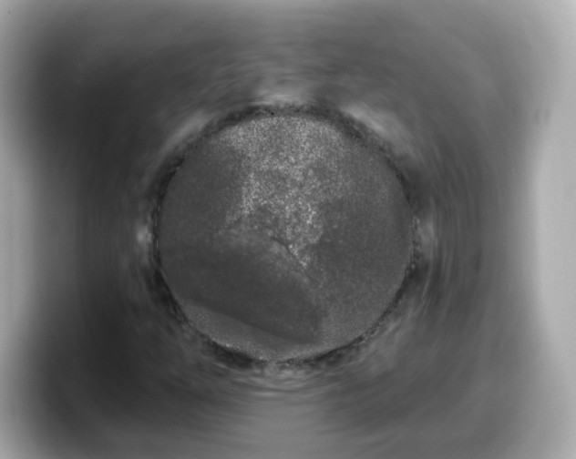 X0000099561254200805231505