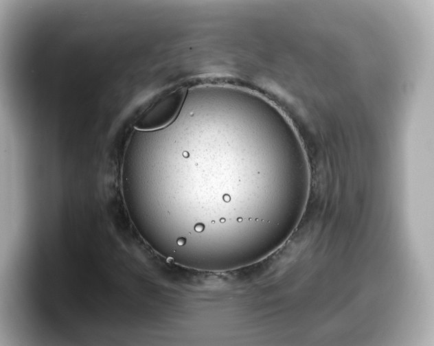 X0000099561255200805231505