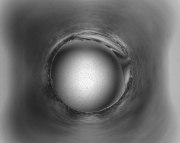 X0000099561256200805231505