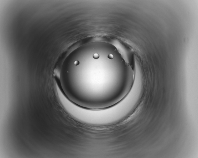 X0000099561257200805231505