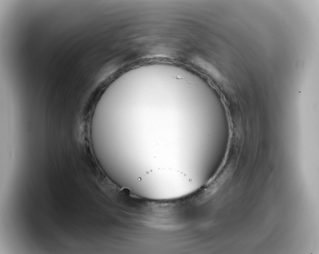 X0000099561258200805231505