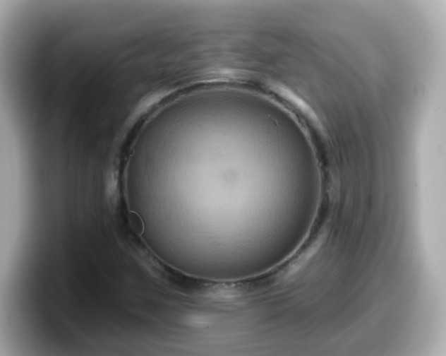 X0000099561259200805231505