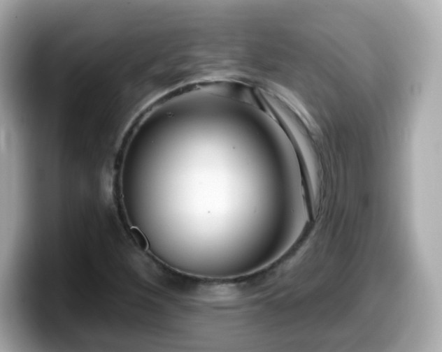 X0000099561260200805231505