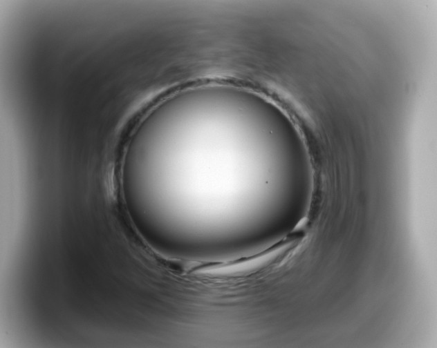 X0000099561262200805231505