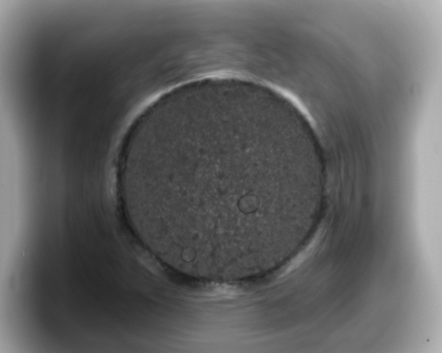 X0000099561263200805231505