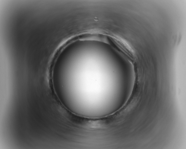 X0000099561264200805231505