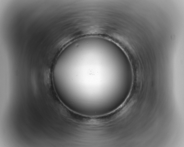 X0000099561265200805231505