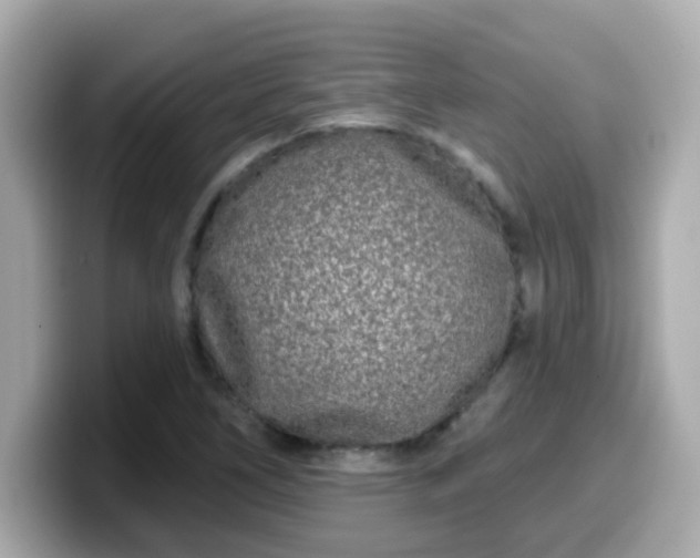 X0000099561266200805231505