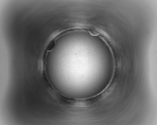 X0000099561267200805231505