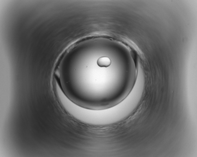 X0000099561268200805231505