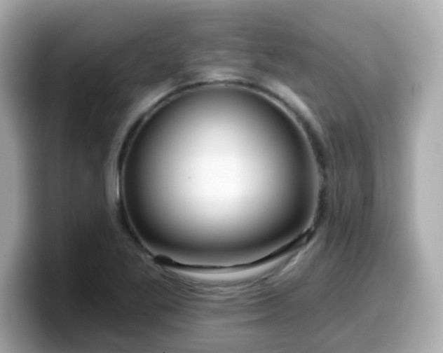 X0000099561269200805231505