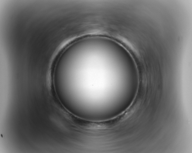 X0000099561270200805231505