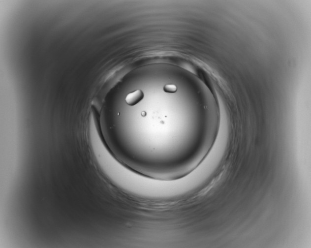 X0000099561273200805231505