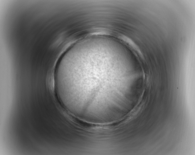 X0000099561274200805231505