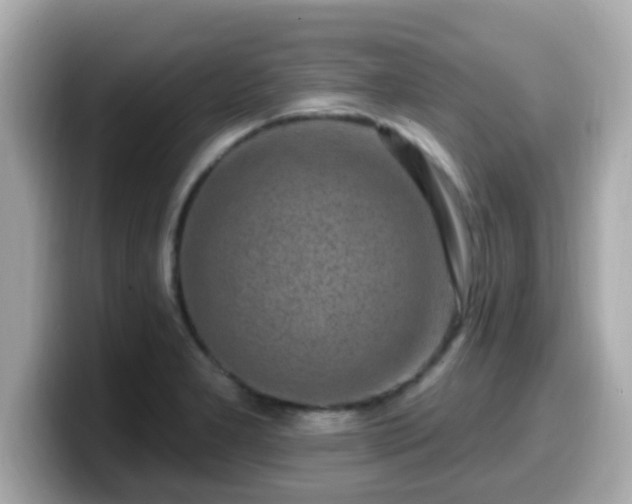 X0000099561277200805231505