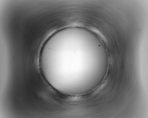 X0000099561278200805231505