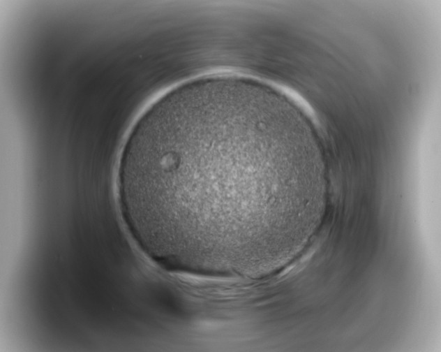 X0000099561279200805231505