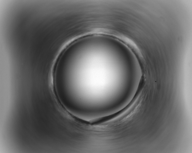 X0000099561280200805231505