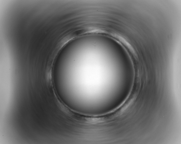 X0000099561281200805231505