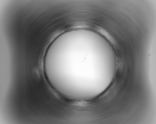 X0000099561282200805231505