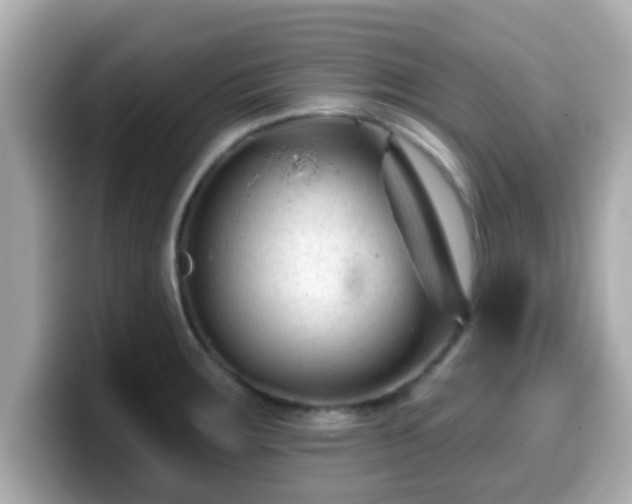 X0000099561283200805231505