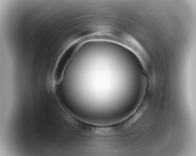 X0000099561284200805231505