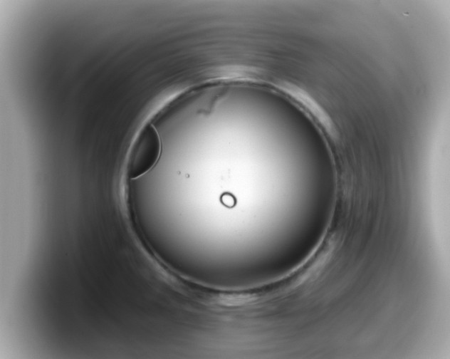 X0000099561285200805231505