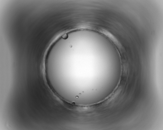 X0000099561286200805231505