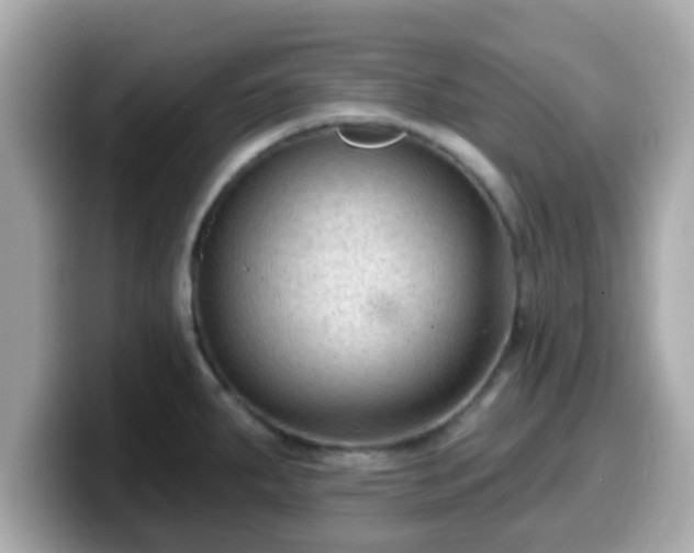 X0000099561287200805231505