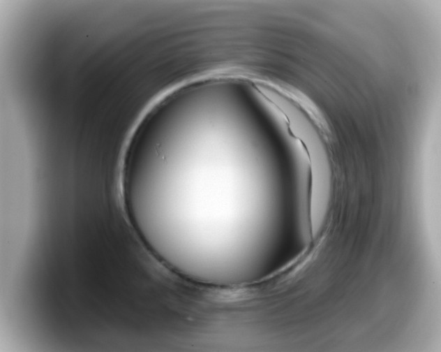 X0000099561288200805231505