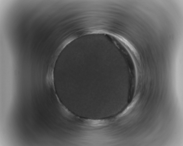 X0000099561289200805231505