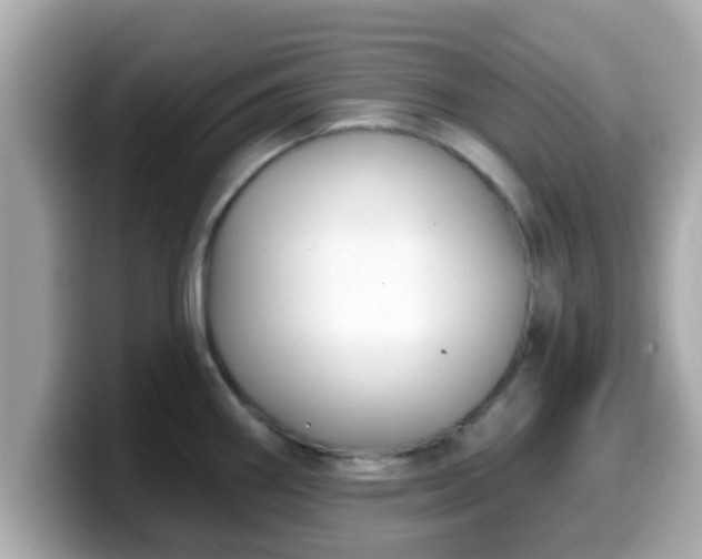 X0000099561290200805231505