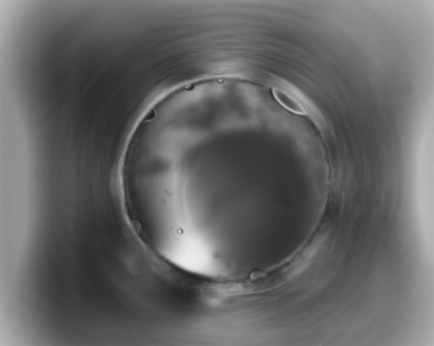 X0000099561291200805231505