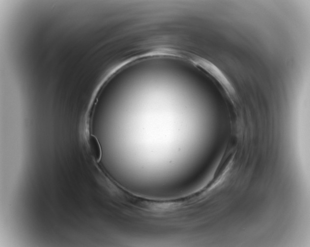 X0000099561292200805231505