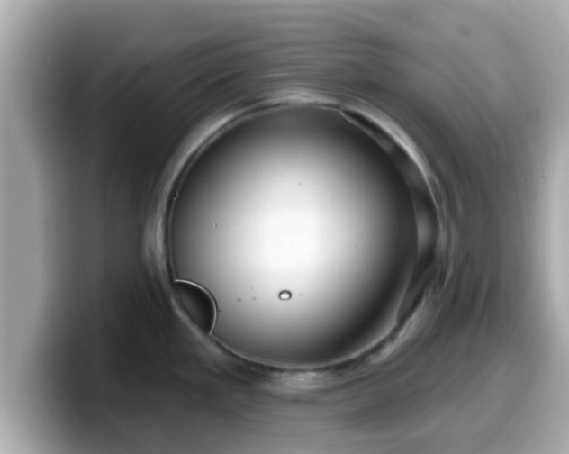 X0000099561293200805231505