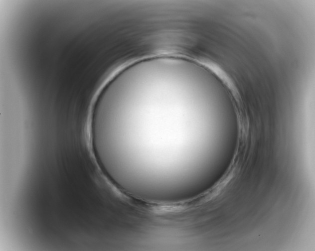 X0000099561294200805231505