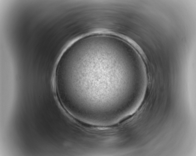 X0000099561295200805231505