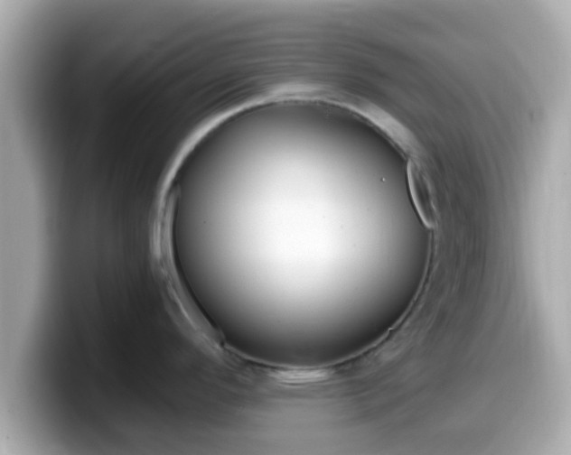 X0000099561296200805231505