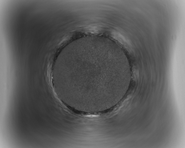 X0000099561297200805231504