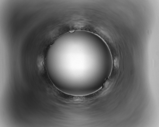 X0000099561299200805231504